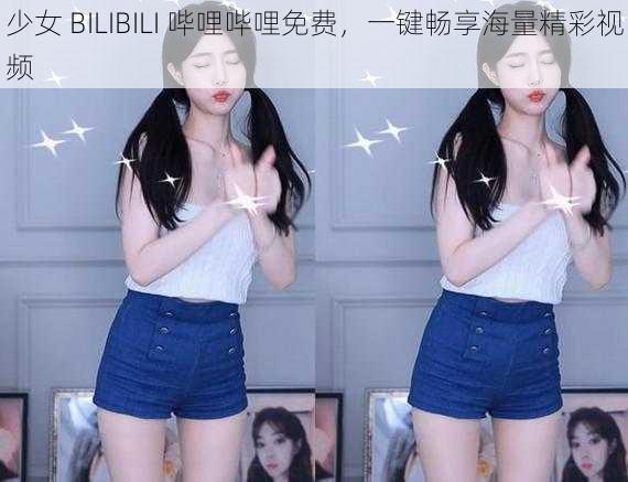 少女 BILIBILI 哔哩哔哩免费，一键畅享海量精彩视频