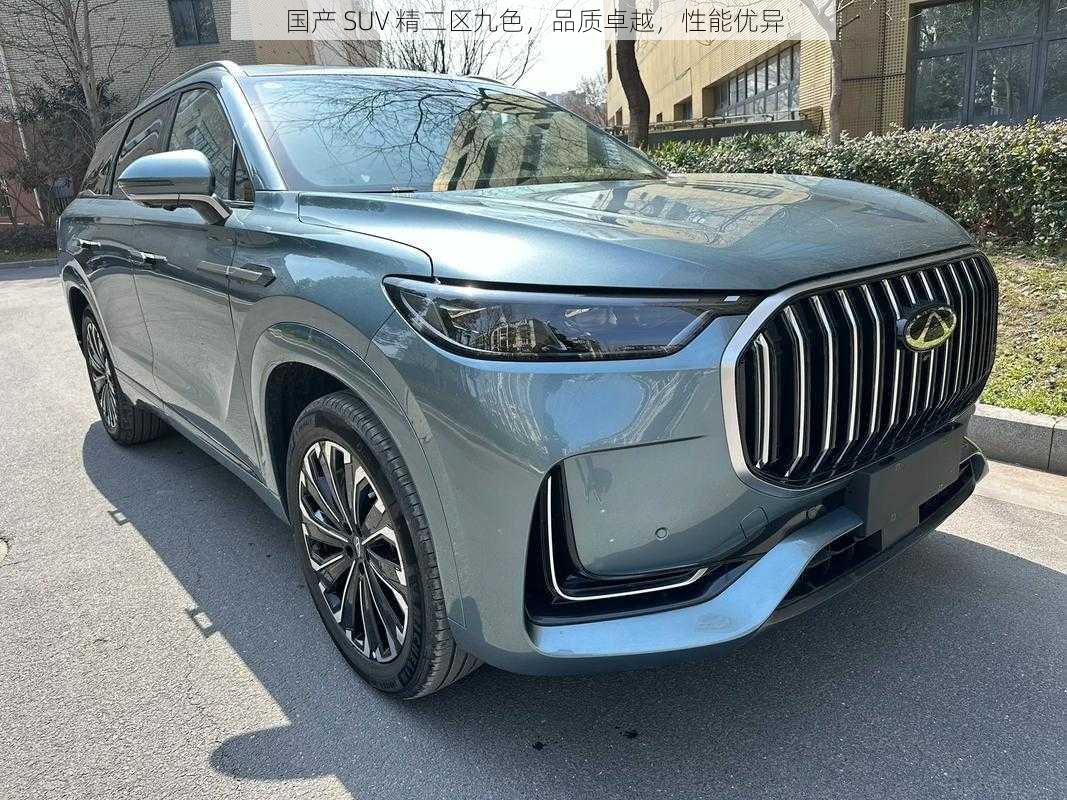 国产 SUV 精二区九色，品质卓越，性能优异