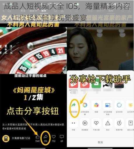 成品人短视频大全 IOS，海量精彩内容，让你轻松畅享视觉盛宴