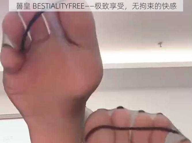 嘼皇 BESTIALITYFREE——极致享受，无拘束的快感