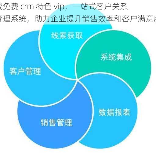 成免费 crm 特色 vip，一站式客户关系管理系统，助力企业提升销售效率和客户满意度