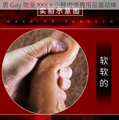 男 Gay 做受 XXXⅩ小鲜肉情趣用品震动棒