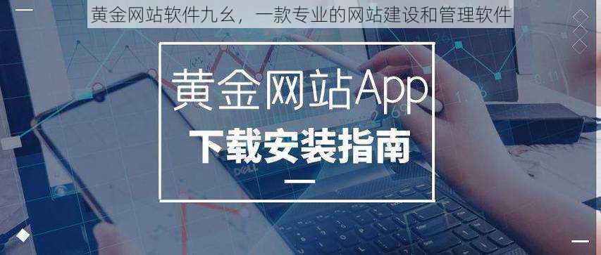 黄金网站软件九幺，一款专业的网站建设和管理软件