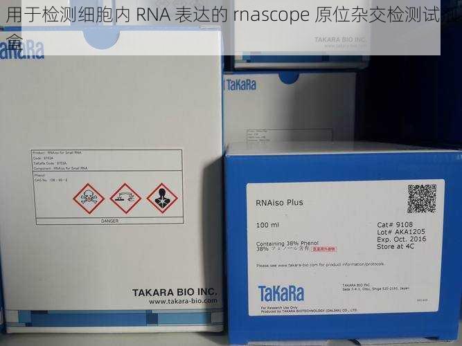 用于检测细胞内 RNA 表达的 rnascope 原位杂交检测试剂盒