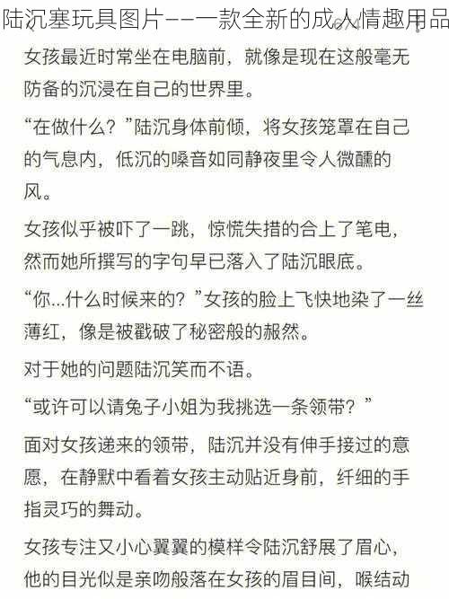 陆沉塞玩具图片——一款全新的成人情趣用品