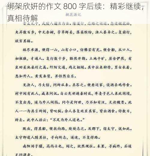 绑架欣妍的作文 800 字后续：精彩继续，真相待解