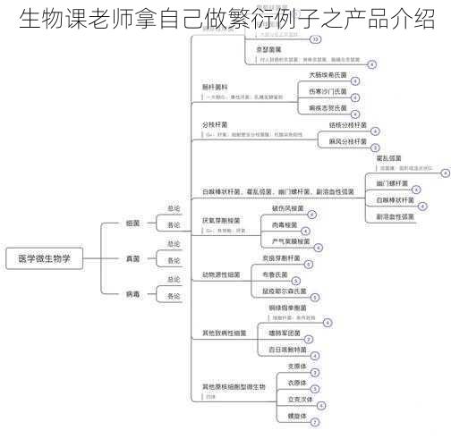 生物课老师拿自己做繁衍例子之产品介绍