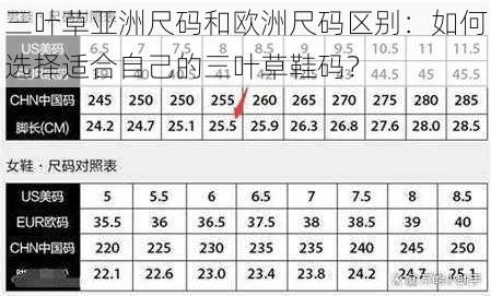 三叶草亚洲尺码和欧洲尺码区别：如何选择适合自己的三叶草鞋码？