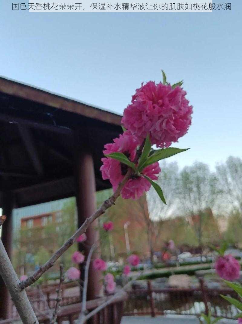 国色天香桃花朵朵开，保湿补水精华液让你的肌肤如桃花般水润