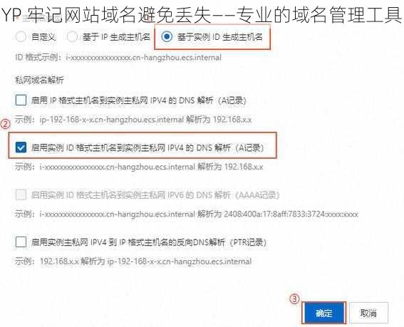 YP 牢记网站域名避免丢失——专业的域名管理工具