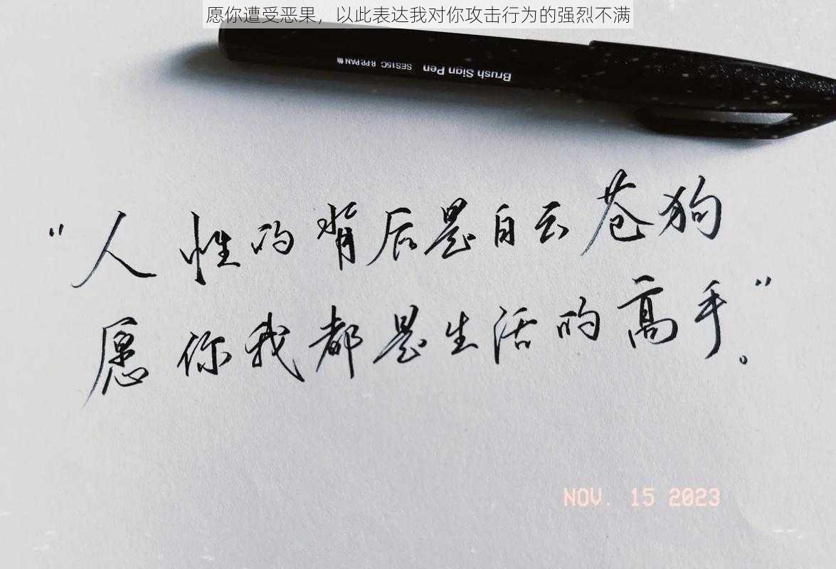 愿你遭受恶果，以此表达我对你攻击行为的强烈不满