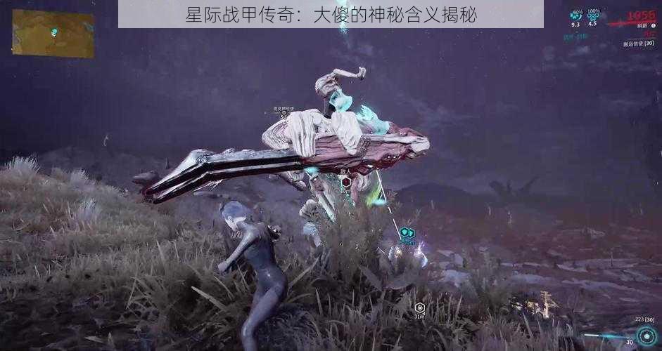 星际战甲传奇：大傻的神秘含义揭秘