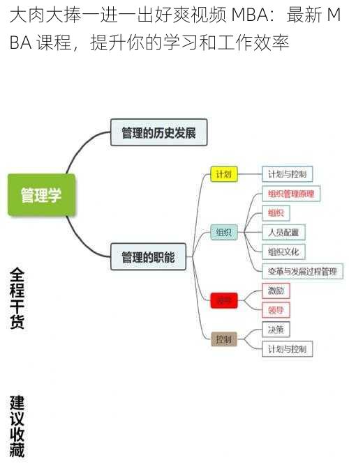 大肉大捧一进一出好爽视频 MBA：最新 MBA 课程，提升你的学习和工作效率