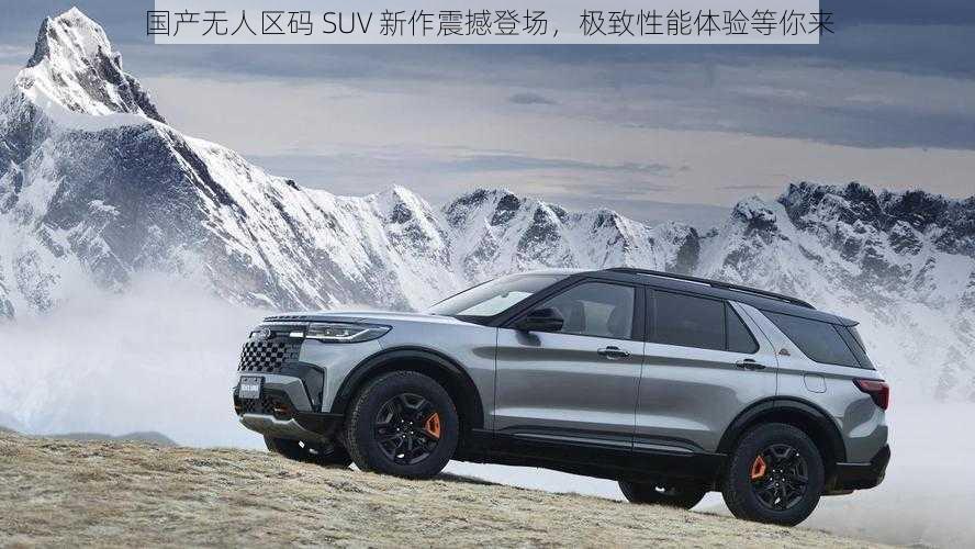 国产无人区码 SUV 新作震撼登场，极致性能体验等你来