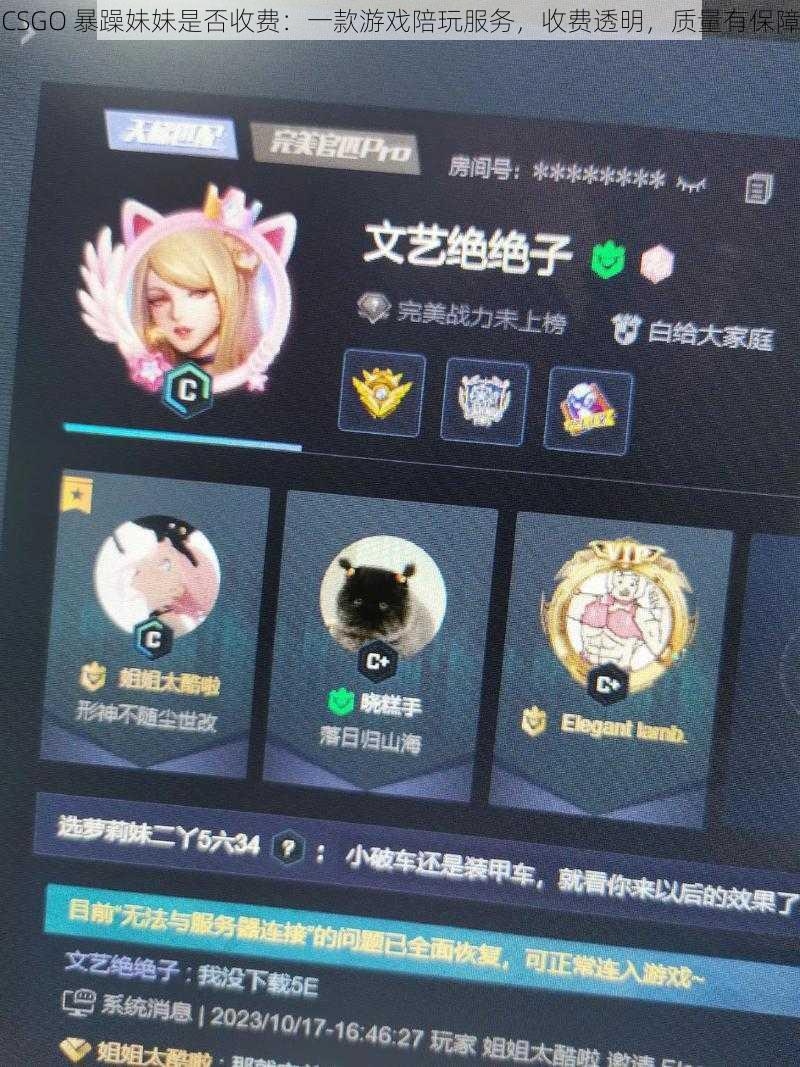 CSGO 暴躁妹妹是否收费：一款游戏陪玩服务，收费透明，质量有保障