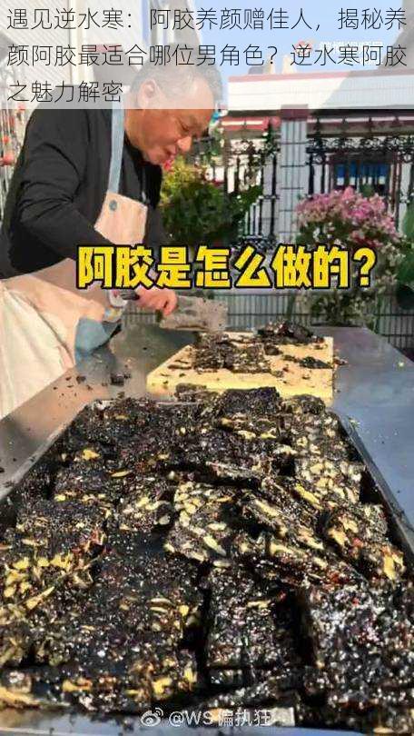 遇见逆水寒：阿胶养颜赠佳人，揭秘养颜阿胶最适合哪位男角色？逆水寒阿胶之魅力解密