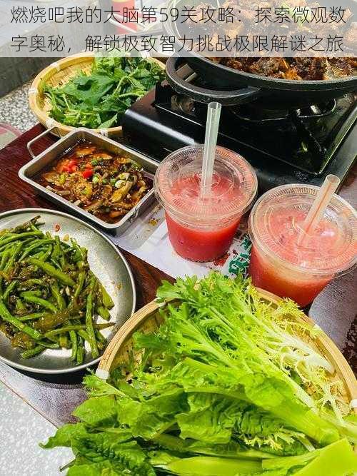 燃烧吧我的大脑第59关攻略:探索微观数字奥秘,解锁极致智力挑战极限解谜之旅