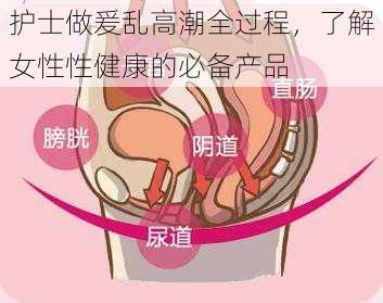 护士做爰乱高潮全过程，了解女性性健康的必备产品