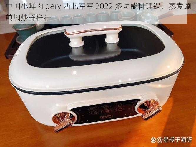 中国小鲜肉 gary 西北军军 2022 多功能料理锅，蒸煮涮煎焖炒样样行