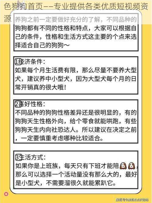 色狗狗首页——专业提供各类优质短视频资源