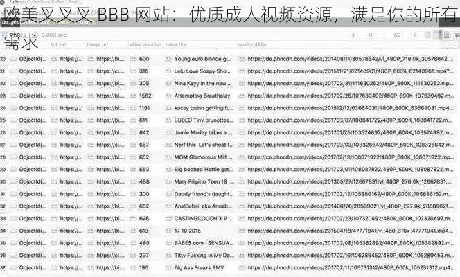 欧美叉叉叉 BBB 网站：优质成人视频资源，满足你的所有需求