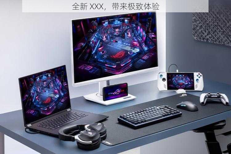 全新 XXX，带来极致体验