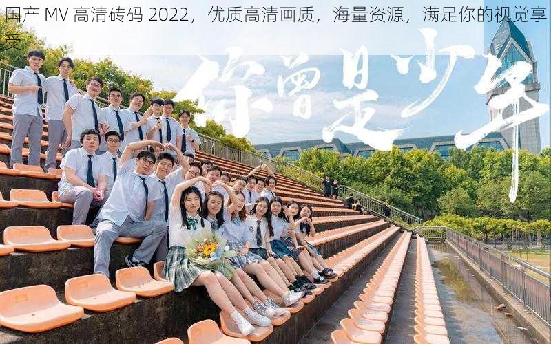 国产 MV 高清砖码 2022，优质高清画质，海量资源，满足你的视觉享受