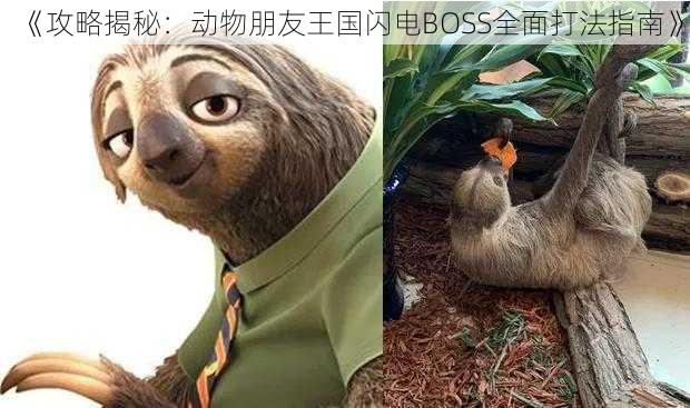 《攻略揭秘：动物朋友王国闪电BOSS全面打法指南》