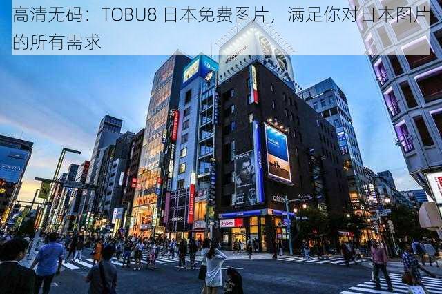 高清无码：TOBU8 日本免费图片，满足你对日本图片的所有需求