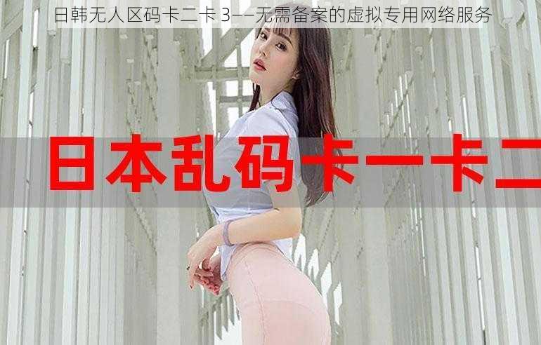 日韩无人区码卡二卡 3——无需备案的虚拟专用网络服务