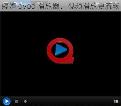 婷婷 qvod 播放器，视频播放更流畅