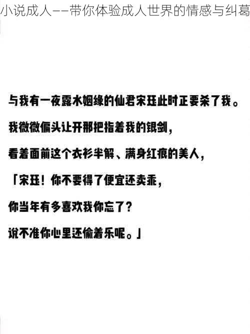 小说成人——带你体验成人世界的情感与纠葛