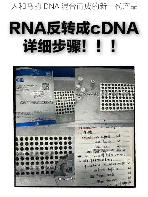 人和马的 DNA 混合而成的新一代产品