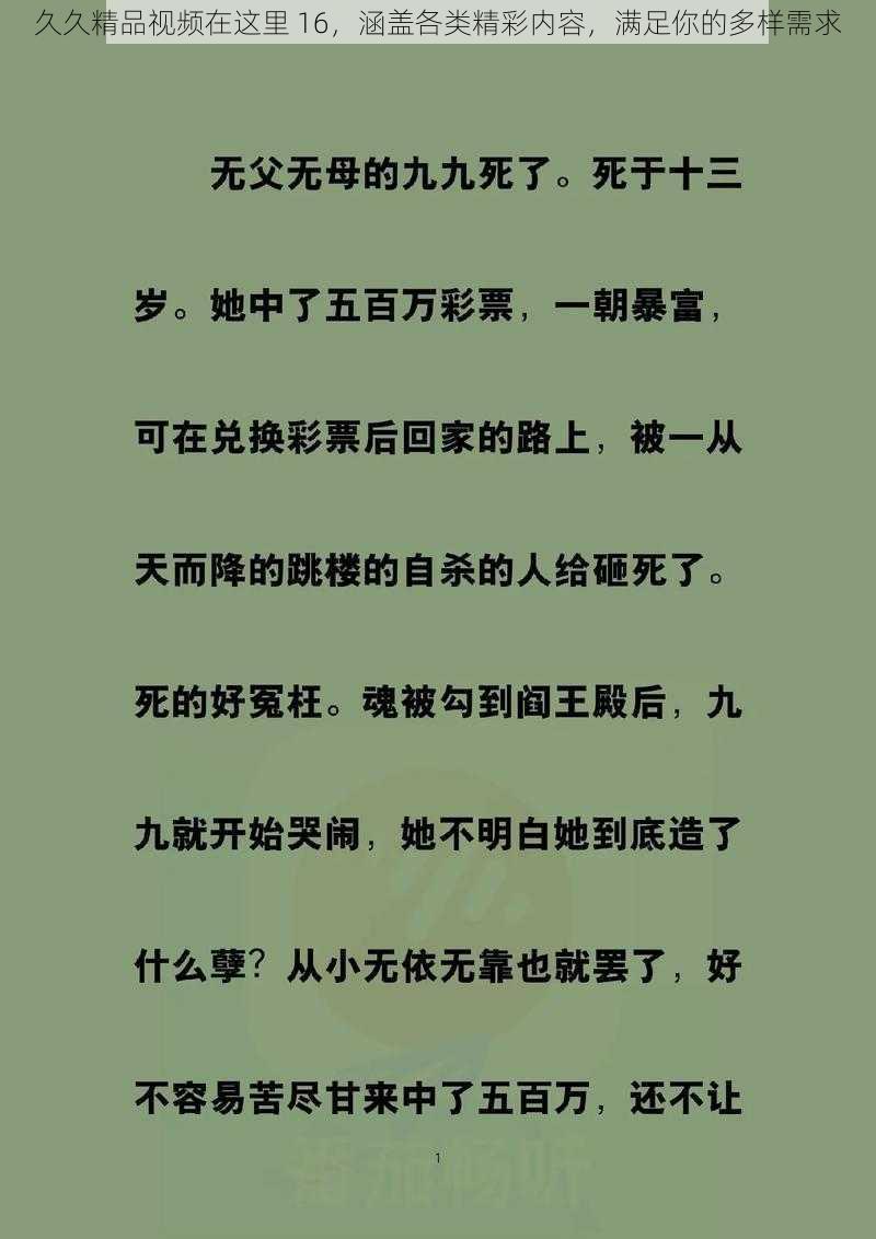 久久精品视频在这里 16，涵盖各类精彩内容，满足你的多样需求