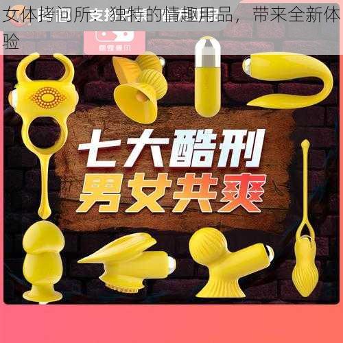 女体拷问所：独特的情趣用品，带来全新体验