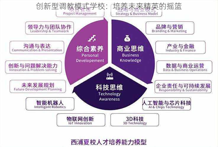 创新型调教模式学校：培养未来精英的摇篮