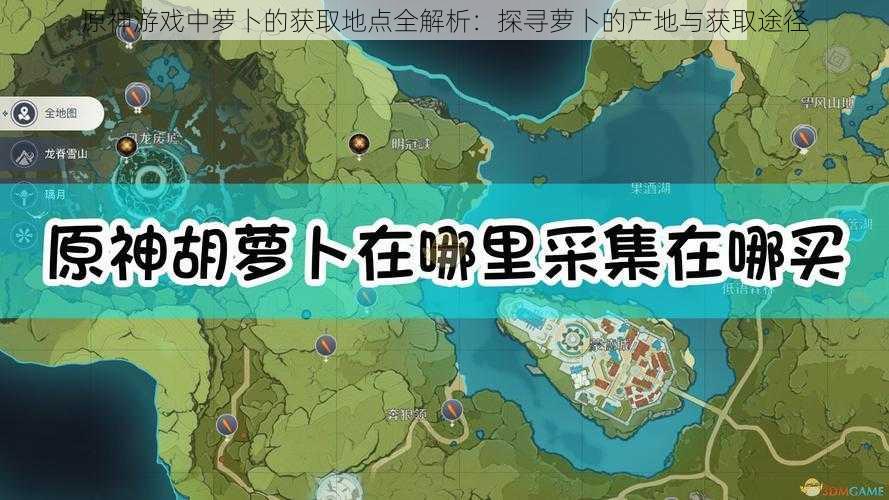 原神游戏中萝卜的获取地点全解析：探寻萝卜的产地与获取途径