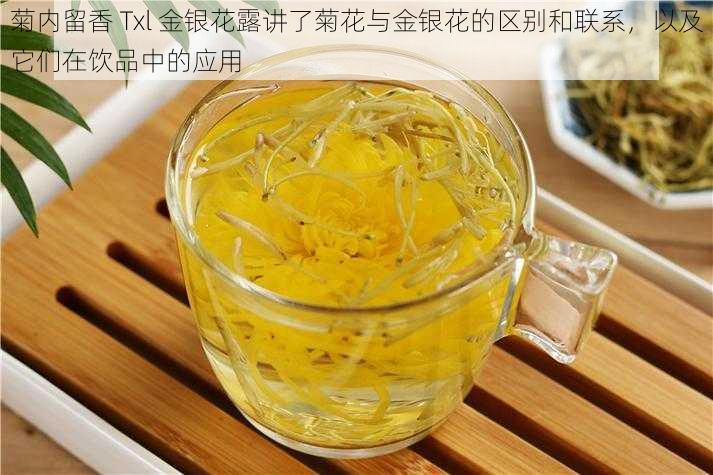 菊内留香 Txl 金银花露讲了菊花与金银花的区别和联系，以及它们在饮品中的应用