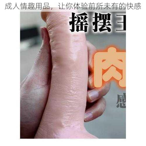 成人情趣用品，让你体验前所未有的快感