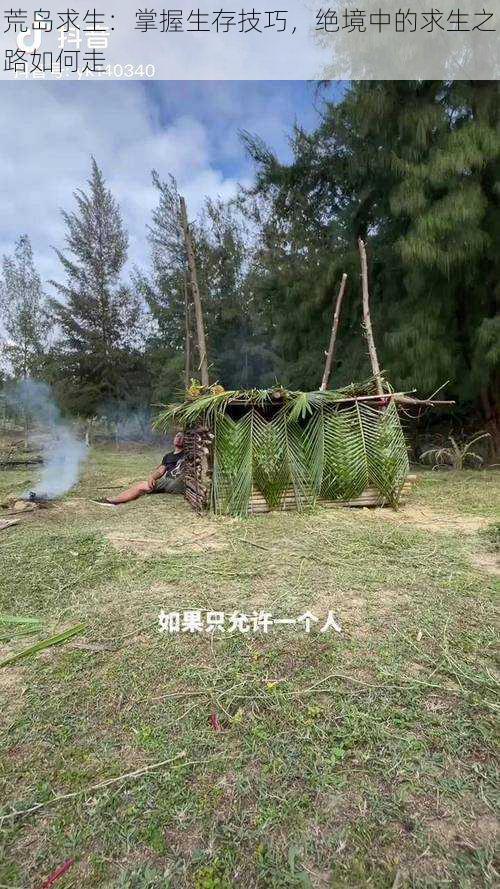 荒岛求生：掌握生存技巧，绝境中的求生之路如何走