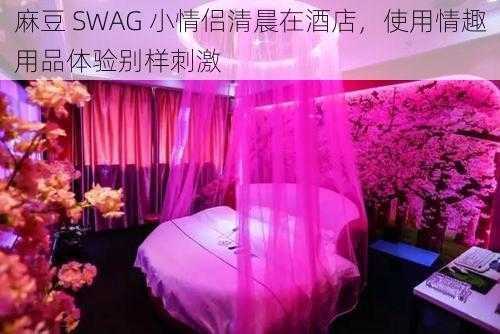 麻豆 SWAG 小情侣清晨在酒店，使用情趣用品体验别样刺激