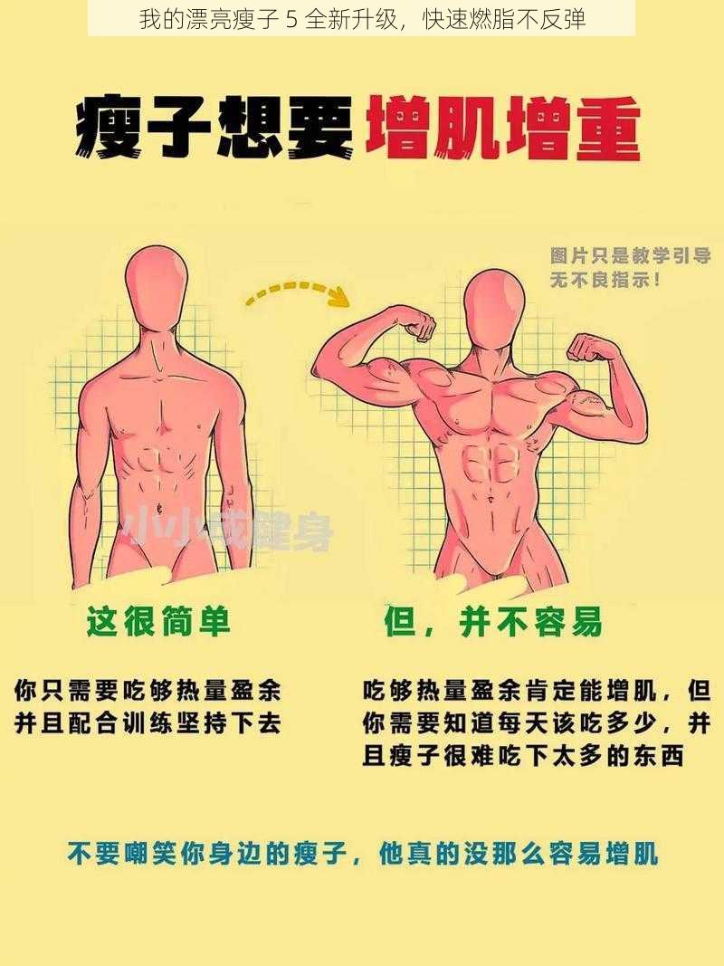 我的漂亮瘦子 5 全新升级，快速燃脂不反弹