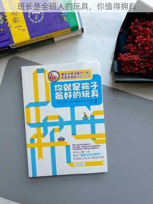 班长是全班人的玩具，你值得拥有