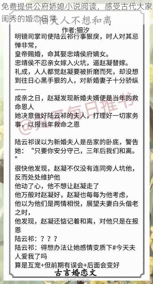 免费提供公府娇媳小说阅读，感受古代大家闺秀的婚恋日常