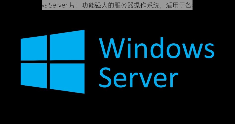 日本 Windows Server 片：功能强大的服务器操作系统，适用于各种规模的企业