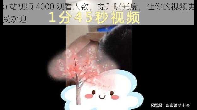 b 站视频 4000 观看人数，提升曝光度，让你的视频更受欢迎