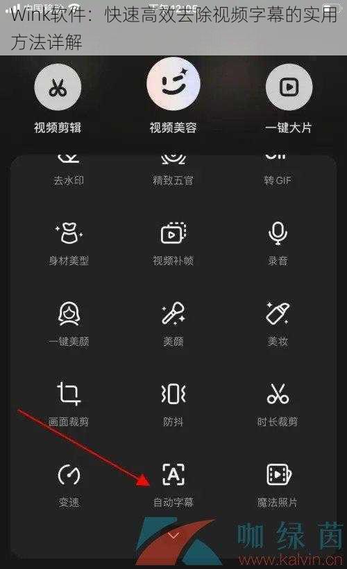 Wink软件：快速高效去除视频字幕的实用方法详解
