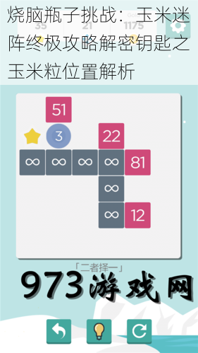 烧脑瓶子挑战：玉米迷阵终极攻略解密钥匙之玉米粒位置解析