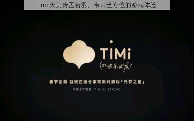 timi 天美传孟若羽，带来全方位的游戏体验