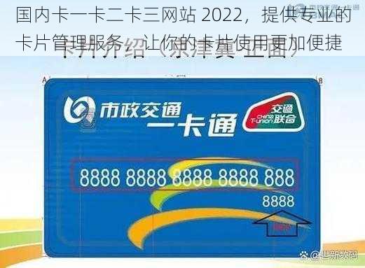 国内卡一卡二卡三网站 2022，提供专业的卡片管理服务，让你的卡片使用更加便捷